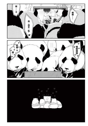 Panda Teaching Page #24
