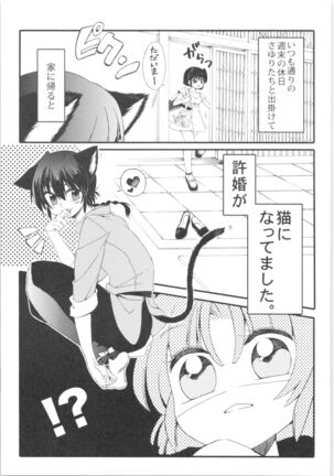 Iinazuke ga Neko ni Narimashite. Page #38