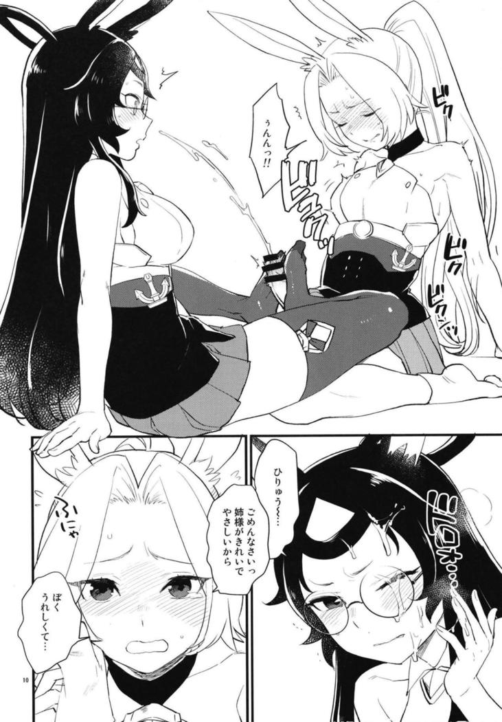 Mental Cube Jikken ni Okeru Jiko Narabi ni Higai Houkokusho