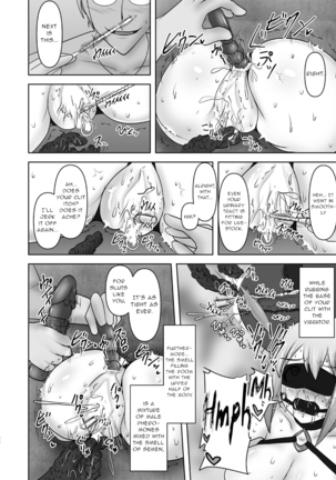 Raygis Valicess Elsain Hajigyaku no Reigokutou Kouhen - Page 22