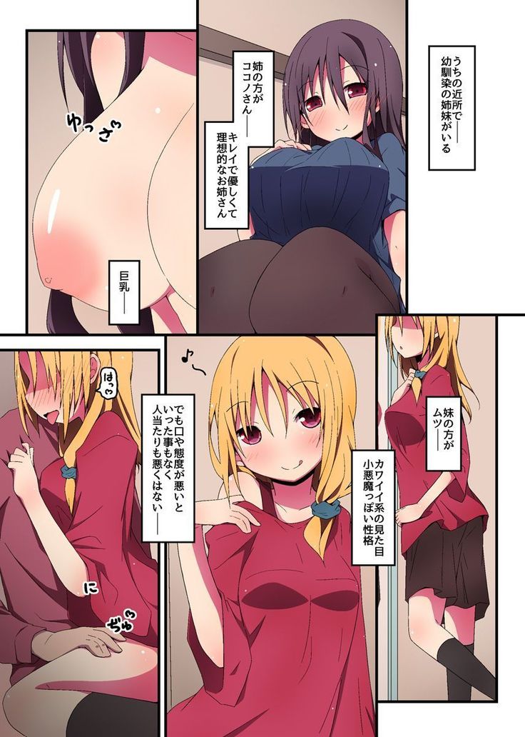 僕は幼馴染姉妹2人とヤリまくっている