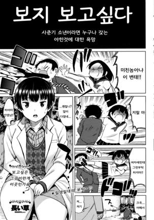 Mitai Asoko wa Kokodesuka? | 보지 보고싶다