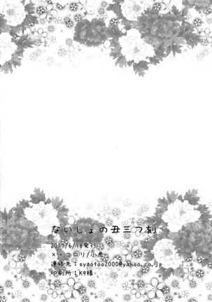Naisho no Ushimitsudoki Page #29