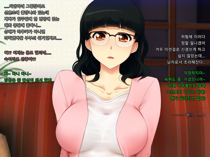 Boku no Tsuma no CG Shuu | 내 아내의 CG집