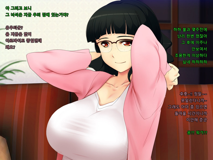 Boku no Tsuma no CG Shuu | 내 아내의 CG집