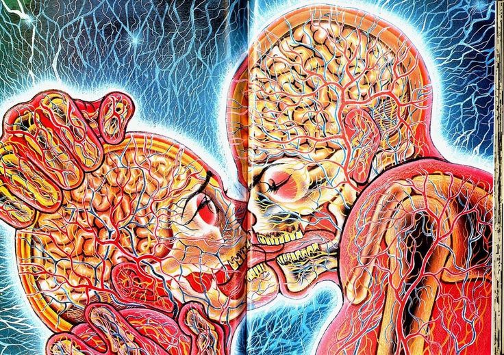 Baki 2   刃牙2性爱篇