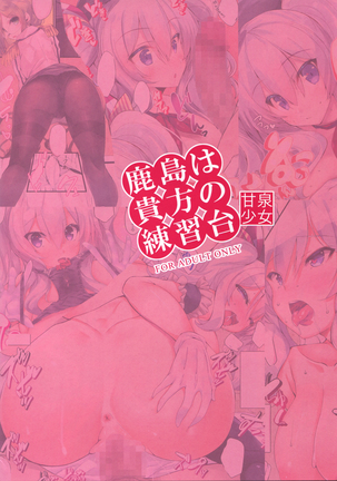 Kashima wa Anata no Renshuudai Page #17