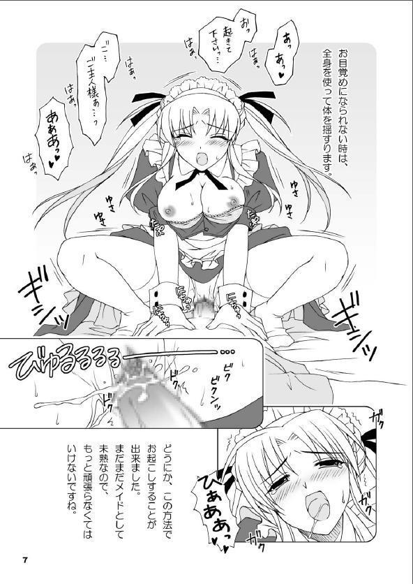 メイドさんのご奉仕日記