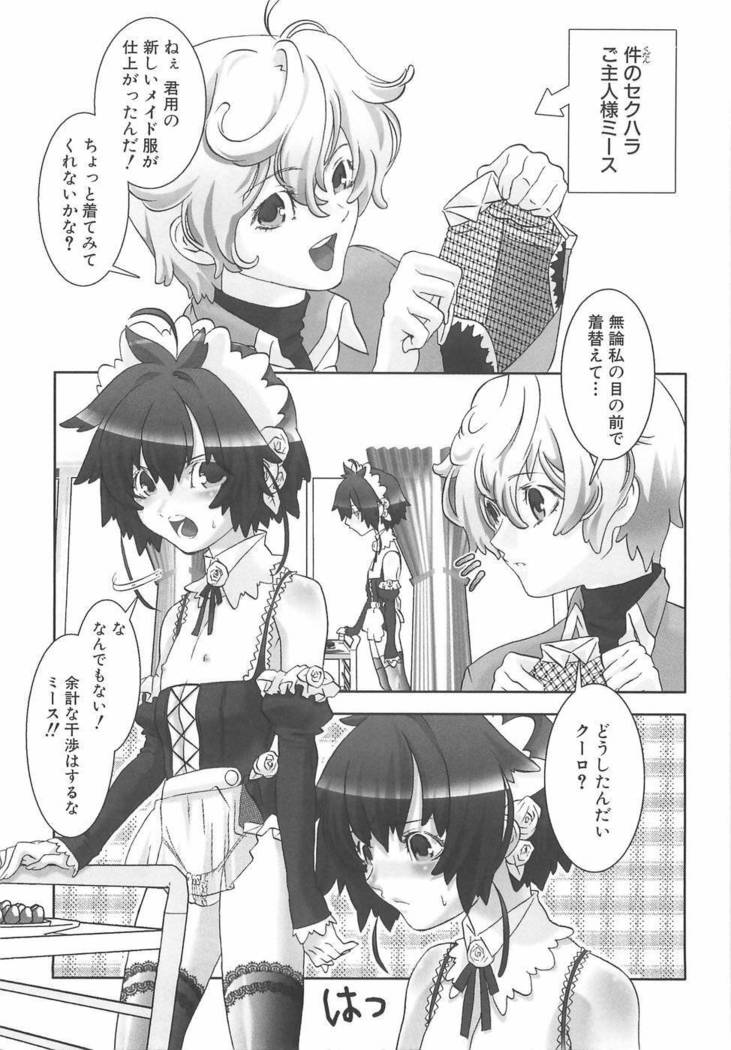 Shounen Maid Dorei Hen