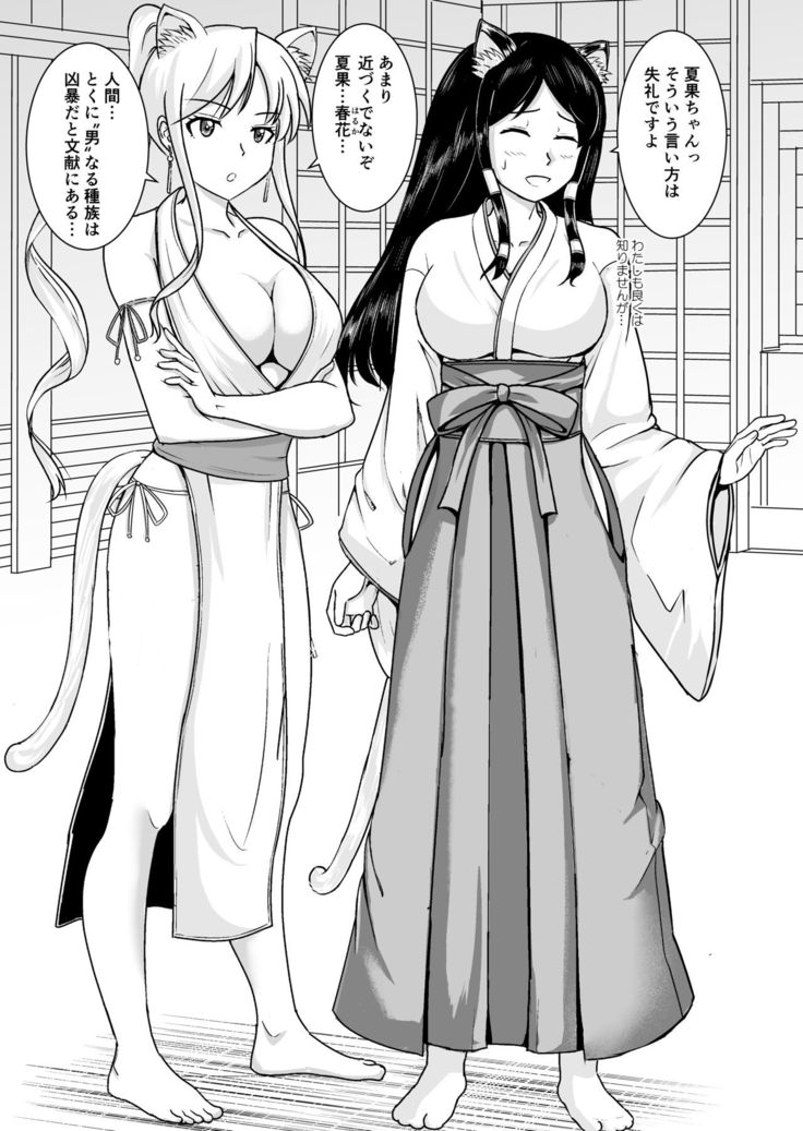 Neko oTasukete Tensei shitara Neko Megami Sanshimai ni Mainichi Sei o Shiborarete iru Ken.