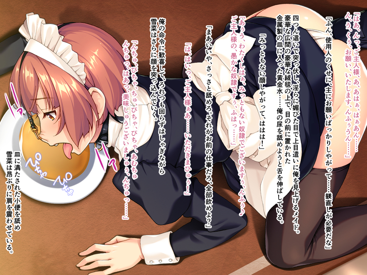 美人メイドは俺のマゾ奴隷 ～メス豚SM拘束絶頂～