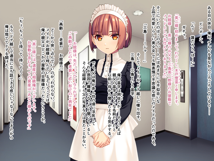 美人メイドは俺のマゾ奴隷 ～メス豚SM拘束絶頂～