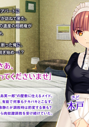 美人メイドは俺のマゾ奴隷 ～メス豚SM拘束絶頂～ Page #205