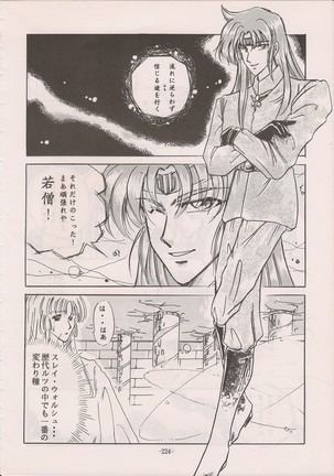 PHANTASY STAR ALL!! Special 3 - Page 223