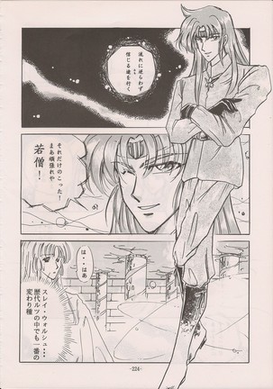 PHANTASY STAR ALL!! Special 3 Page #223