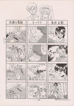 PHANTASY STAR ALL!! Special 3 - Page 255