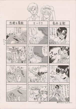 PHANTASY STAR ALL!! Special 3 Page #255