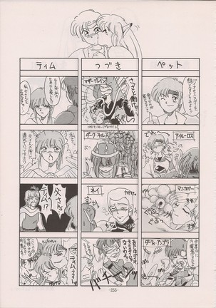 PHANTASY STAR ALL!! Special 3 Page #254
