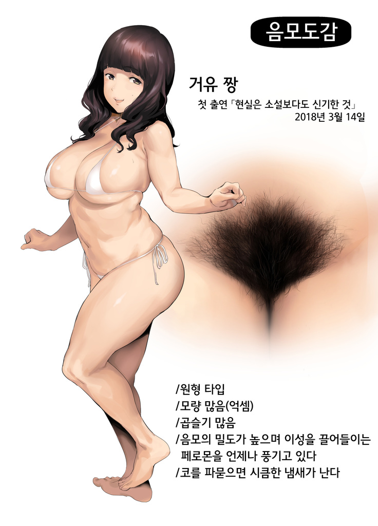 Inmou Zukan 1~4 | 음모도감 1~4