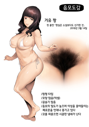 Image 8498118