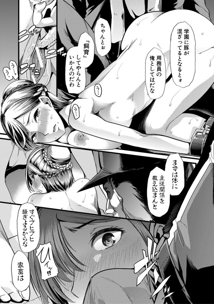 Mesu Kyoushi, Ochiru