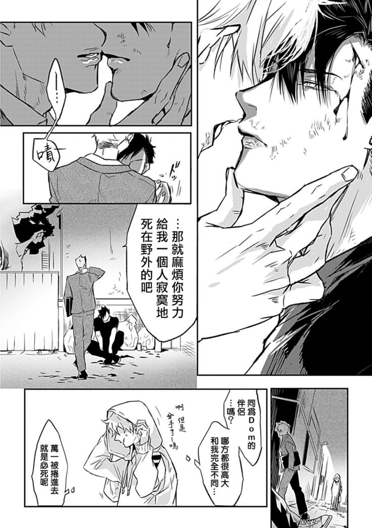 Dom/Sub Universe BL 01-02