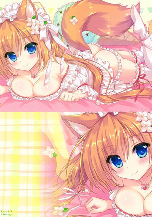 AME NOCHI COLORS 3