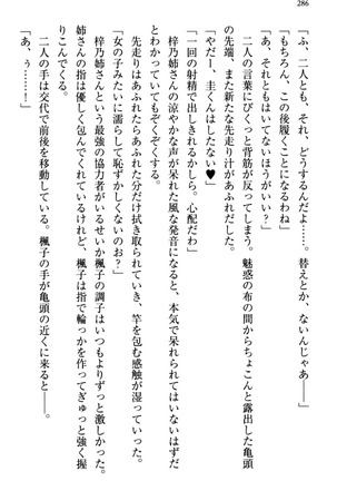 お嬢さま三姉妹にぺろぺろされ続けるのをやめたい人生でした - Page 294