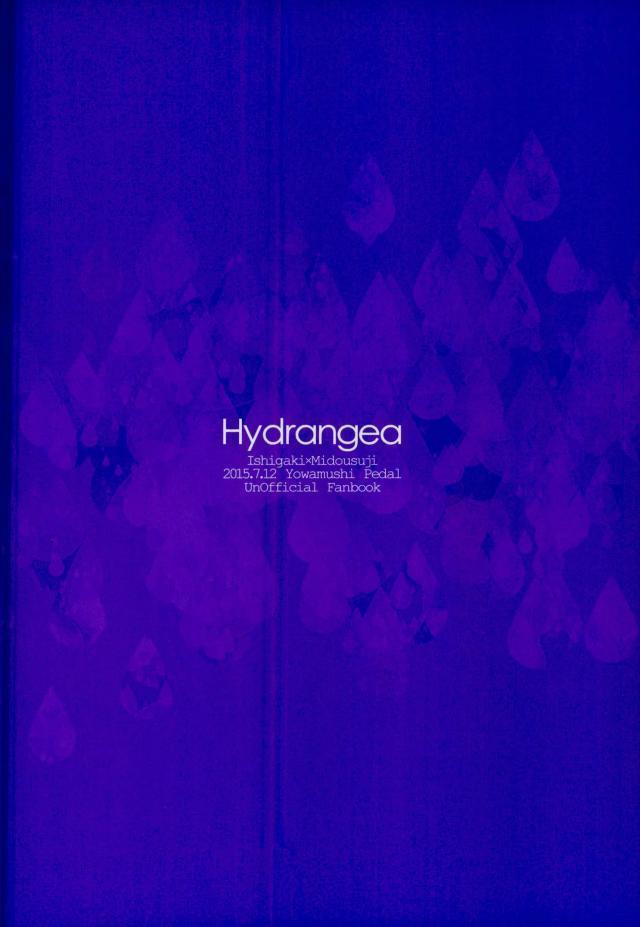 Hydrangea
