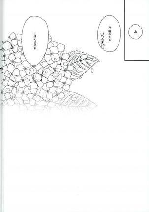 Hydrangea Page #17