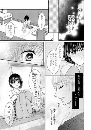 兄との距離は近くて遠い - Page 21