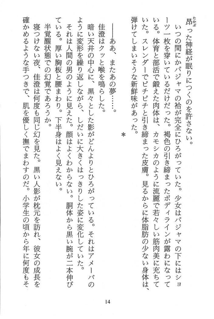 パラレルガールズ 陵辱の螺旋