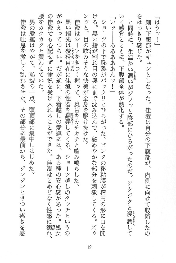 パラレルガールズ 陵辱の螺旋