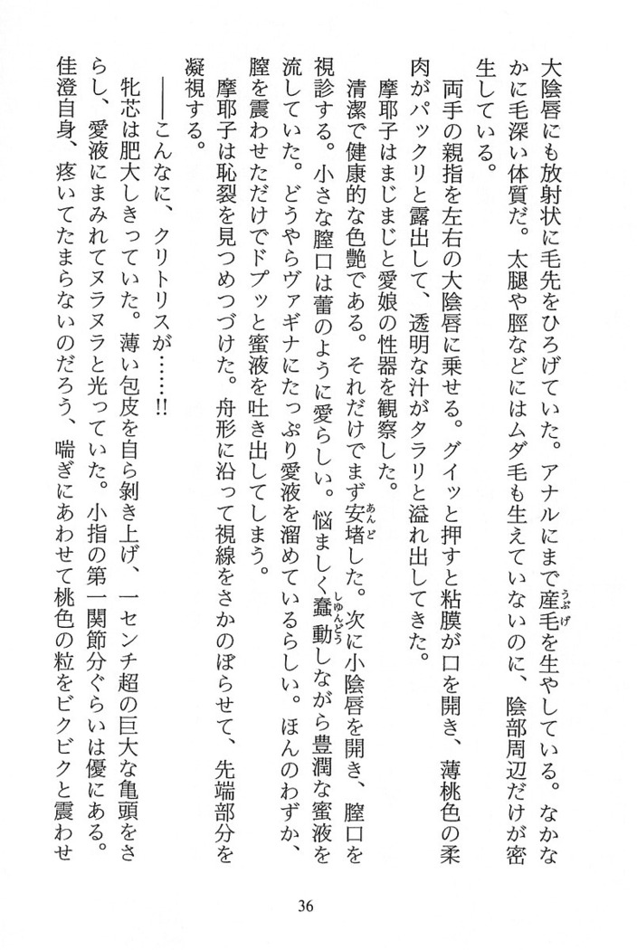 パラレルガールズ 陵辱の螺旋