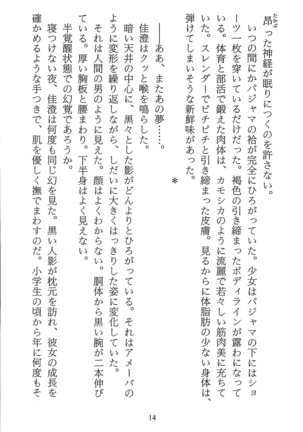 パラレルガールズ 陵辱の螺旋 Page #17