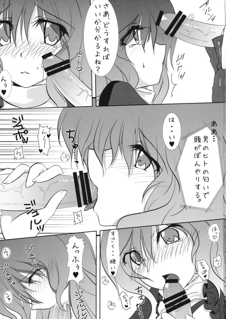 Ochita Seijin no Aido Seikatsu 1 Kore ga Watashi no Goshujin-sama