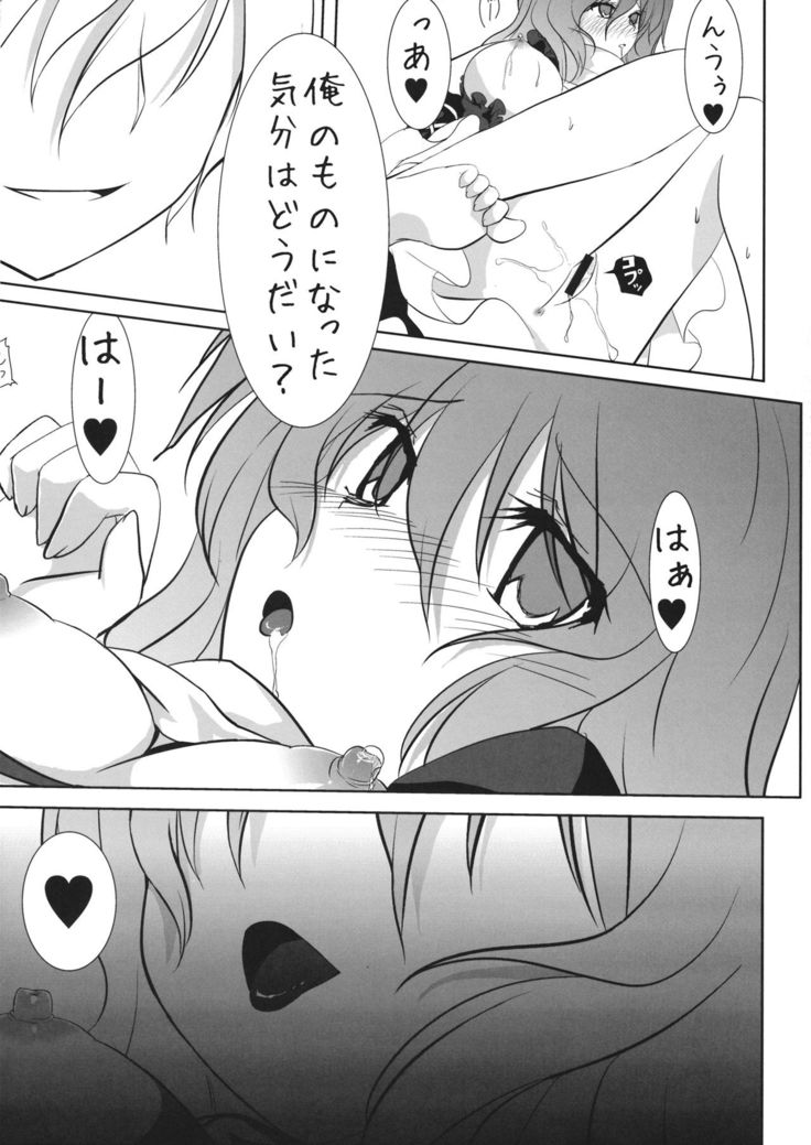 Ochita Seijin no Aido Seikatsu 1 Kore ga Watashi no Goshujin-sama