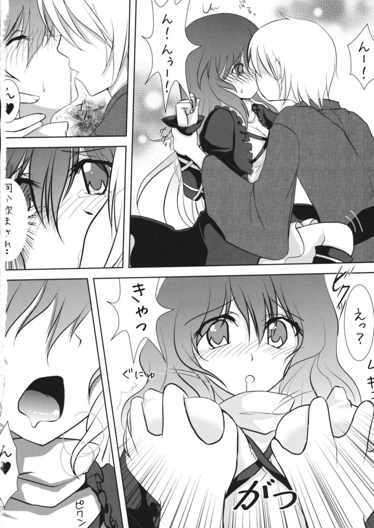 Ochita Seijin no Aido Seikatsu 1 Kore ga Watashi no Goshujin-sama