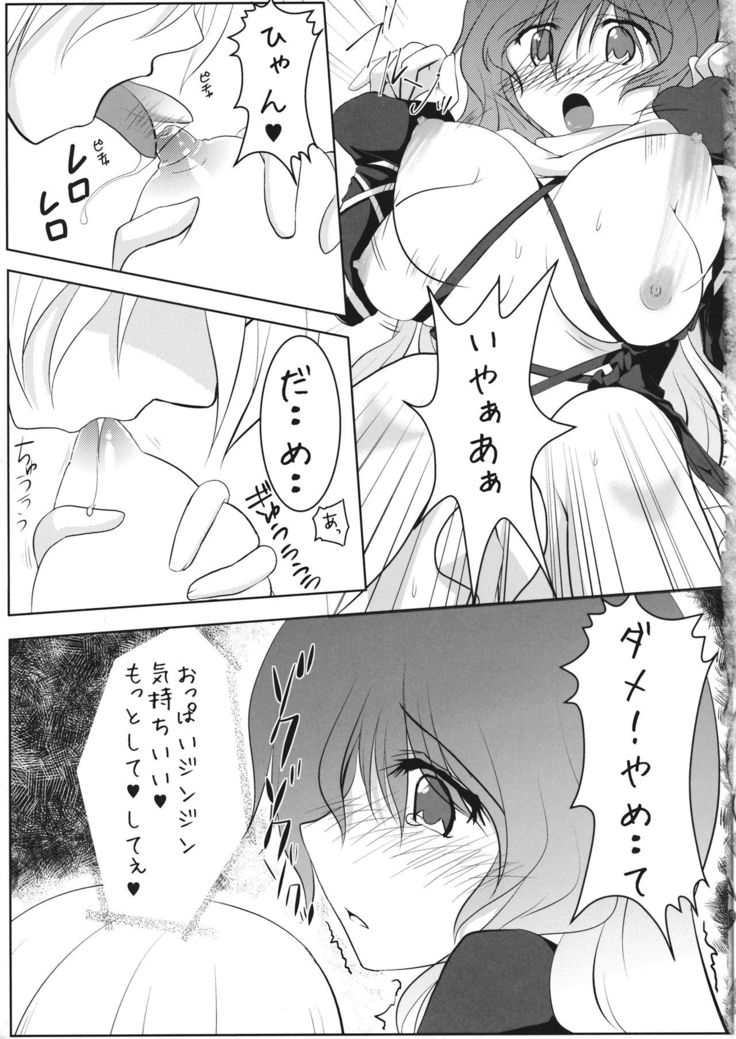 Ochita Seijin no Aido Seikatsu 1 Kore ga Watashi no Goshujin-sama