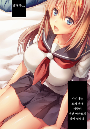 Fall into... -Osananajimi ga Netorareru- | 소꿉친구를 빼앗기다 Page #65