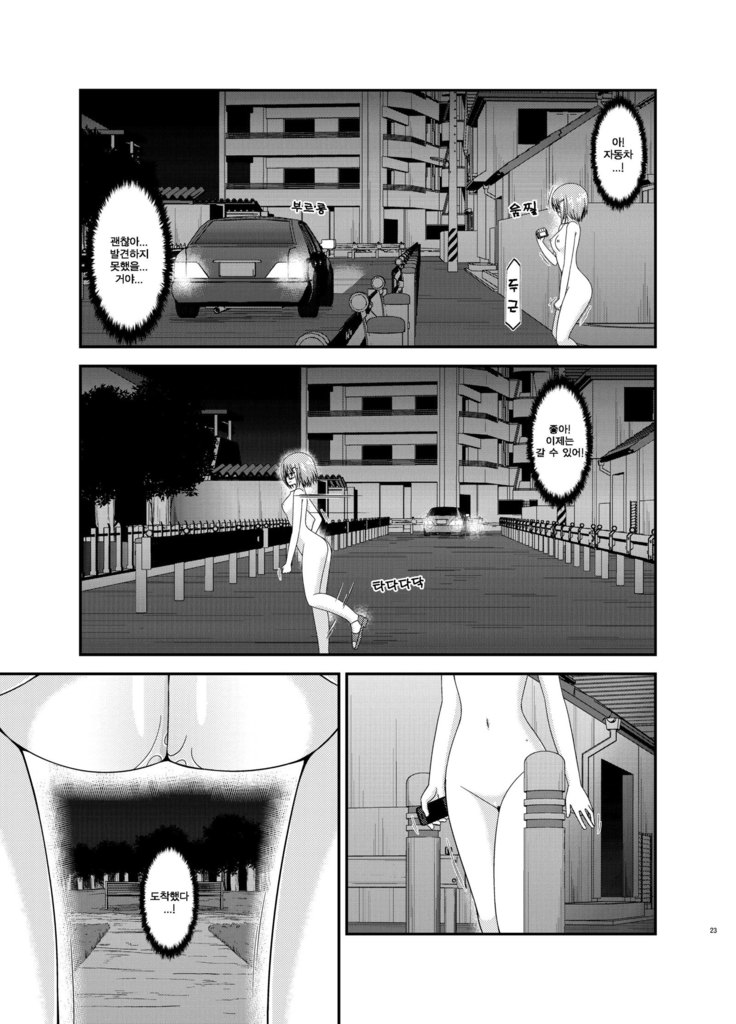 Roshutsu Shoujo Nikki 11 Satsume | 노출소녀 일기 11권째