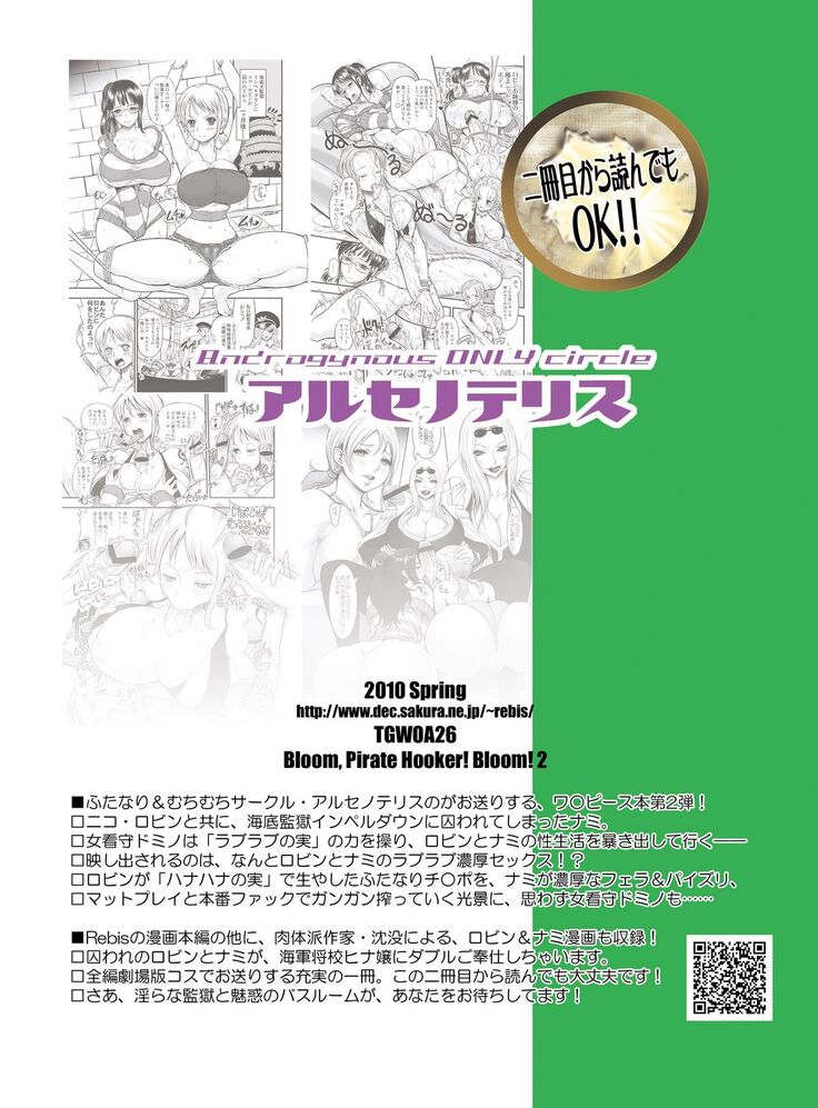 Midarezaki Joshuu Kaizoku 2