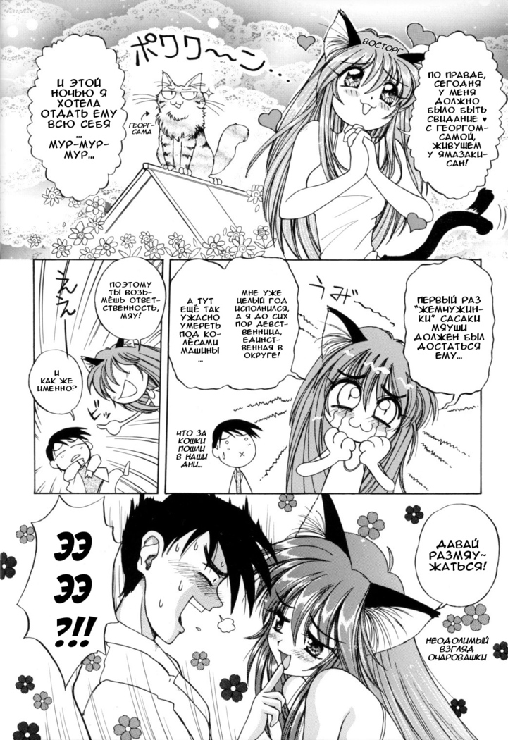 PRETTY CAT'S SHOW TIME