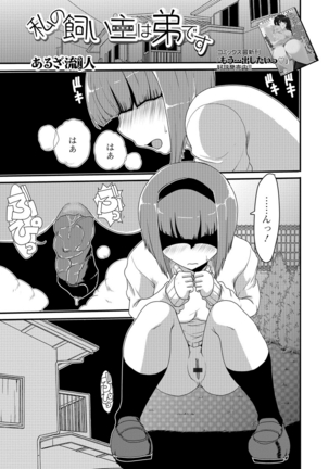 Ougon no Sonata XXX Vol.1 Page #102