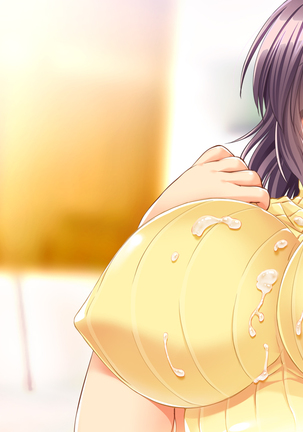 Hitozuma Netori Haramase Mansion - Page 381