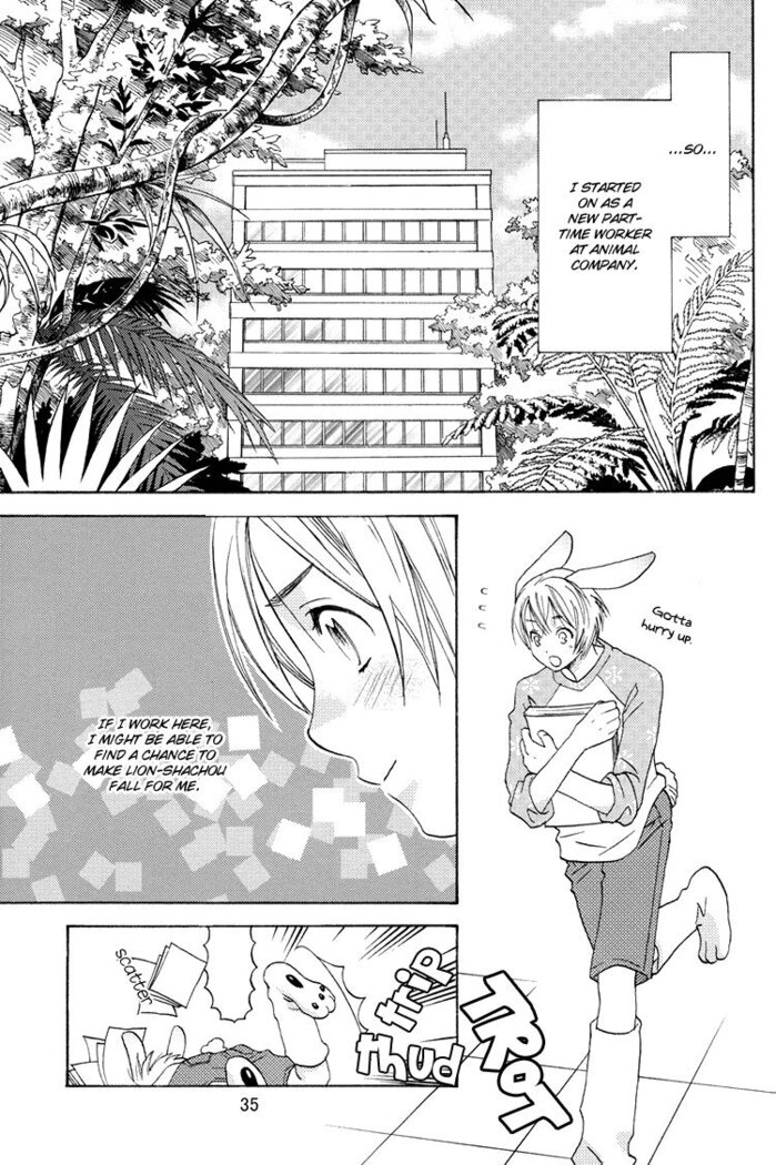 Mori No Animal Company Anikan | The Woodland Animal Company