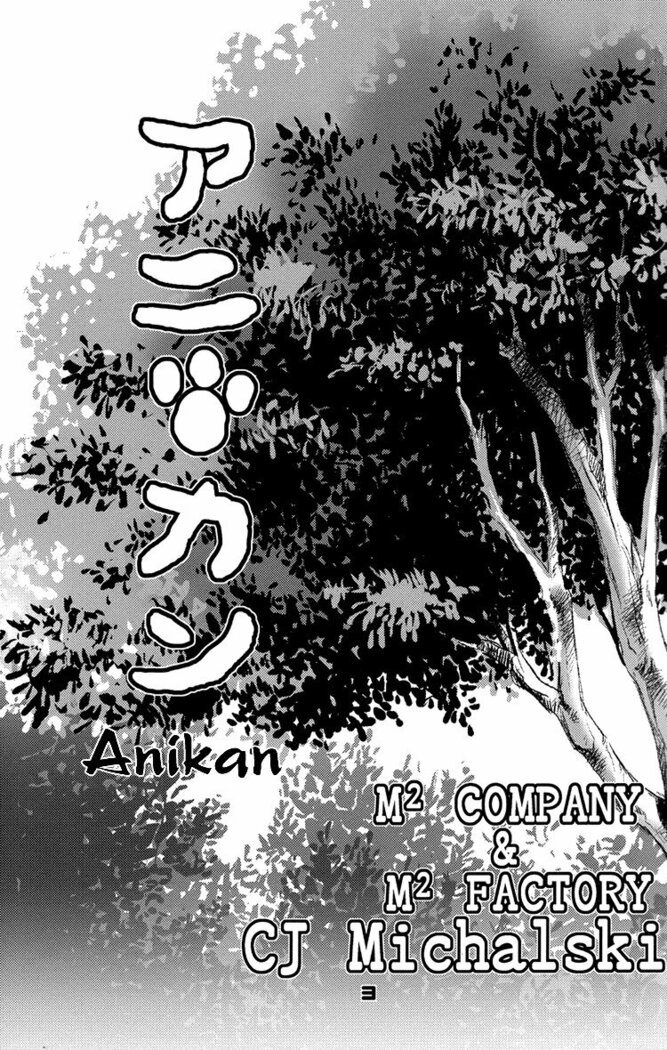 Mori No Animal Company Anikan | The Woodland Animal Company