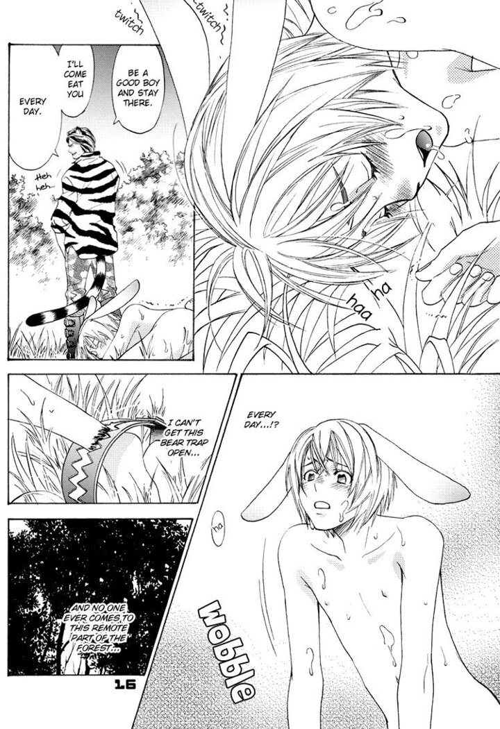 Mori No Animal Company Anikan | The Woodland Animal Company