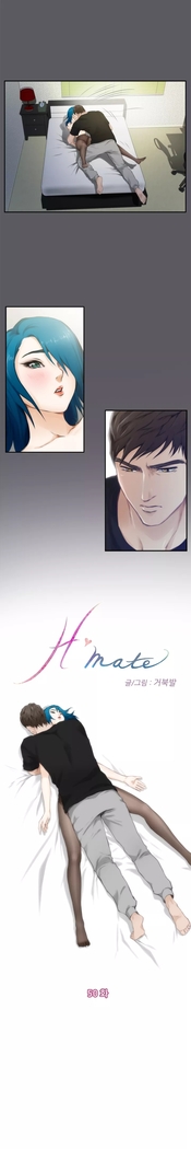 H-Mate 46-54