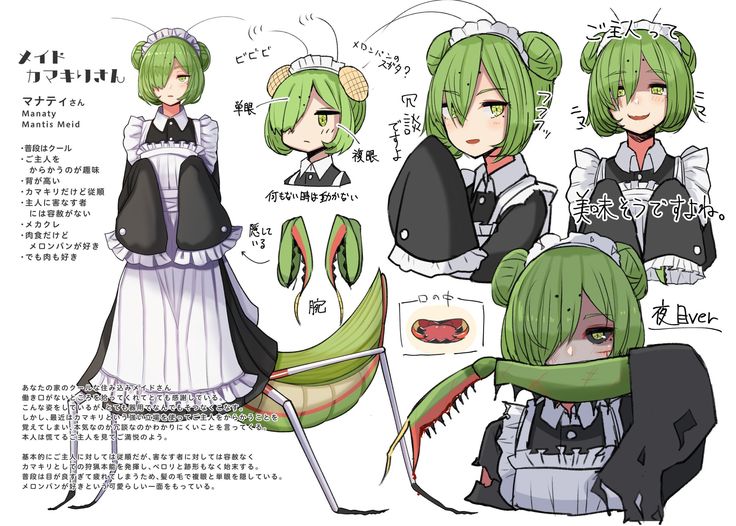 Mushi no Shoujo to